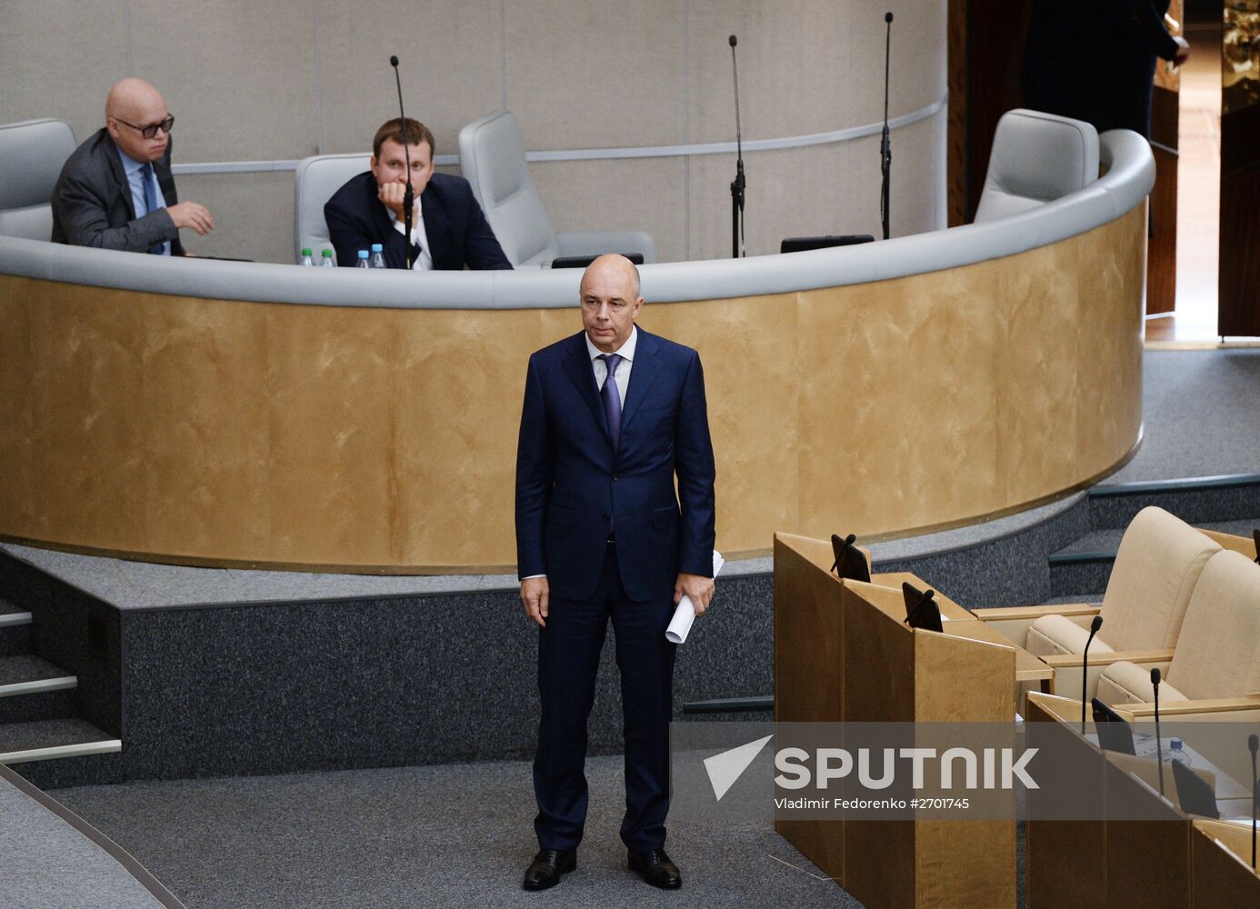 State Duma plenary meeting