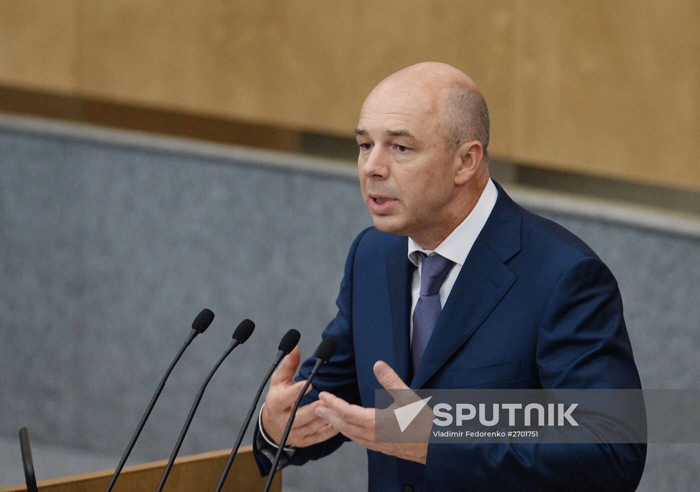 State Duma plenary meeting