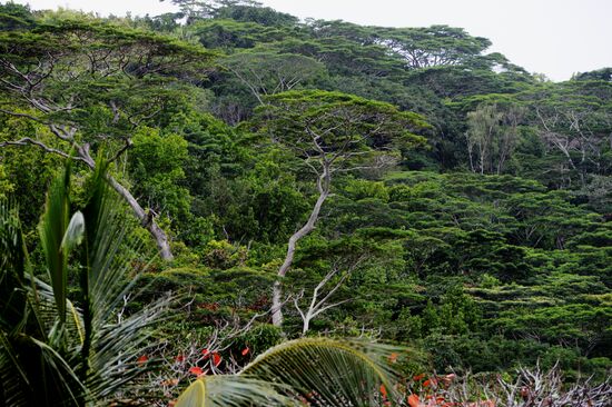 La Digue Island