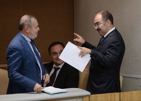 State Duma plenary meeting
