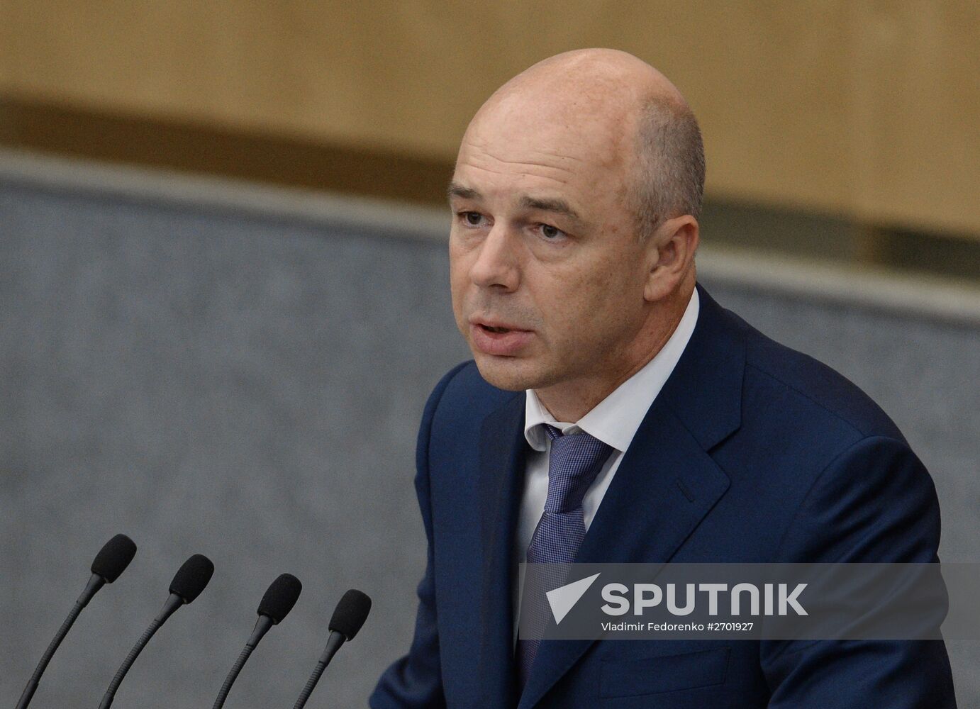 State Duma plenary meeting