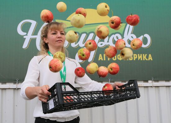 Apple juice production in Kaliningrad Region
