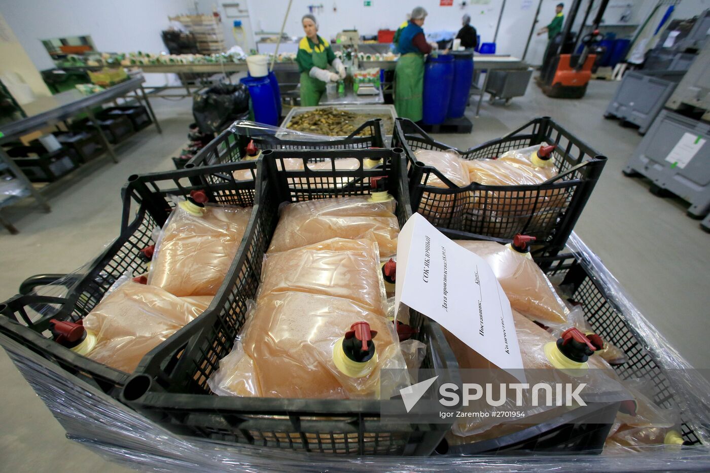 Apple juice production in Kaliningrad Region