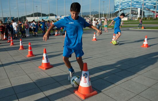 2018 FIFA World Cup: 1000 days to go