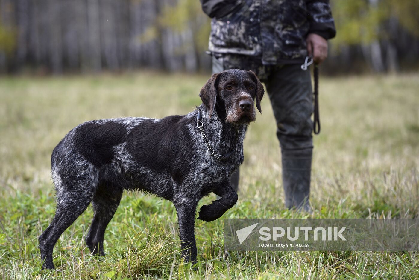 Intergrated gun dog competition im memoriam R.Kalashnikov