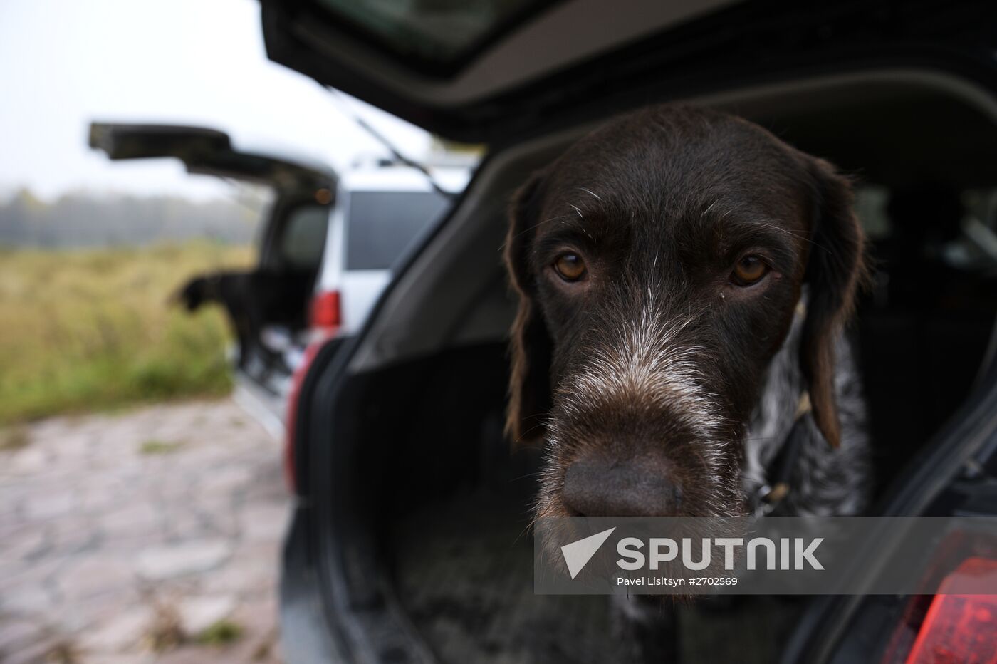 Intergrated gun dog competition im memoriam R.Kalashnikov