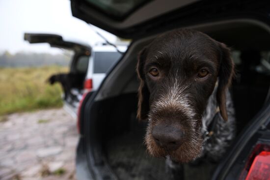 Intergrated gun dog competition im memoriam R.Kalashnikov