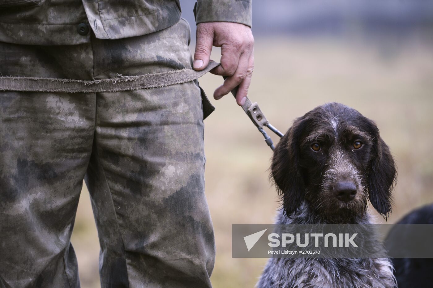 Intergrated gun dog competition im memoriam R.Kalashnikov