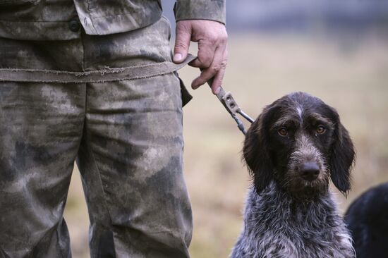 Intergrated gun dog competition im memoriam R.Kalashnikov
