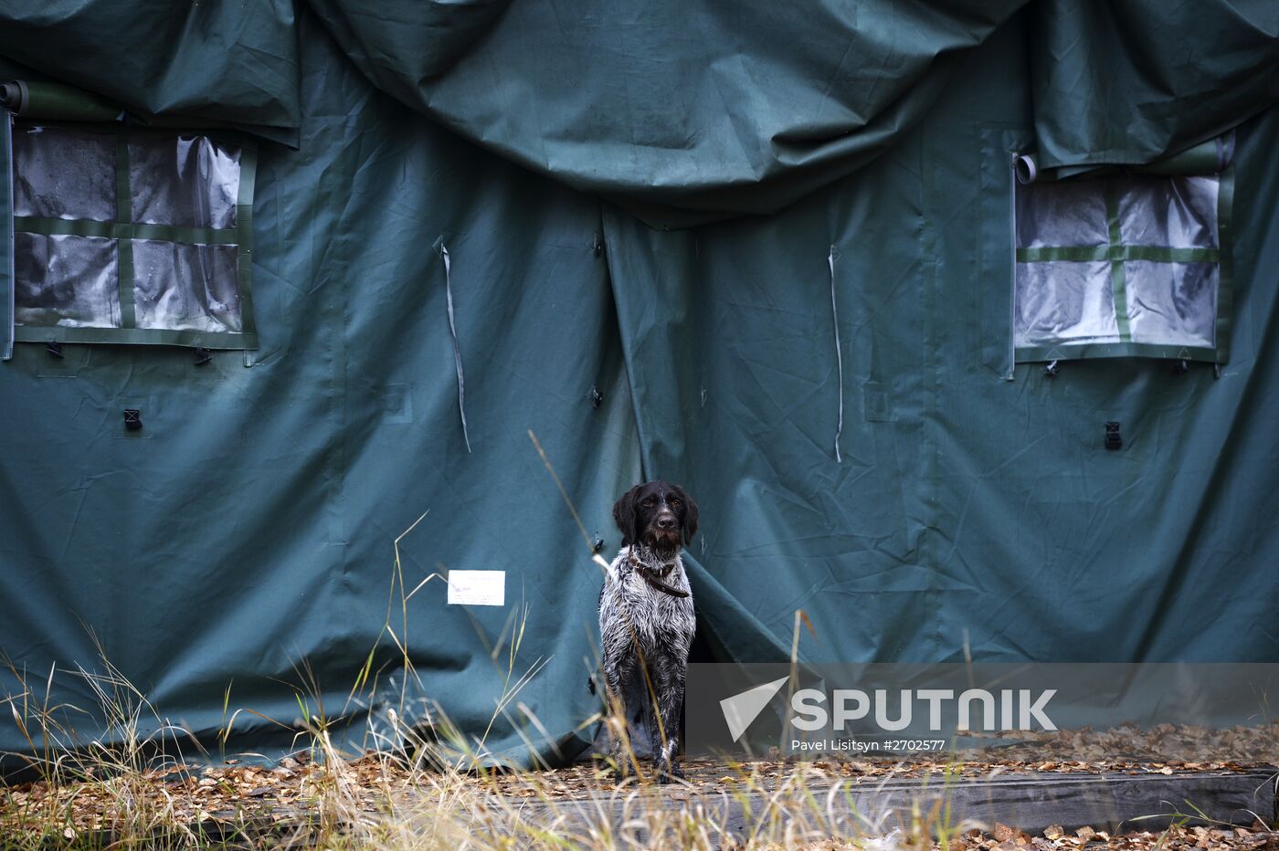 Intergrated gun dog competition im memoriam R.Kalashnikov