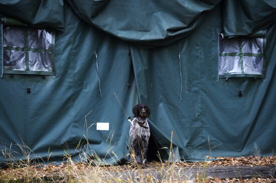 Intergrated gun dog competition im memoriam R.Kalashnikov