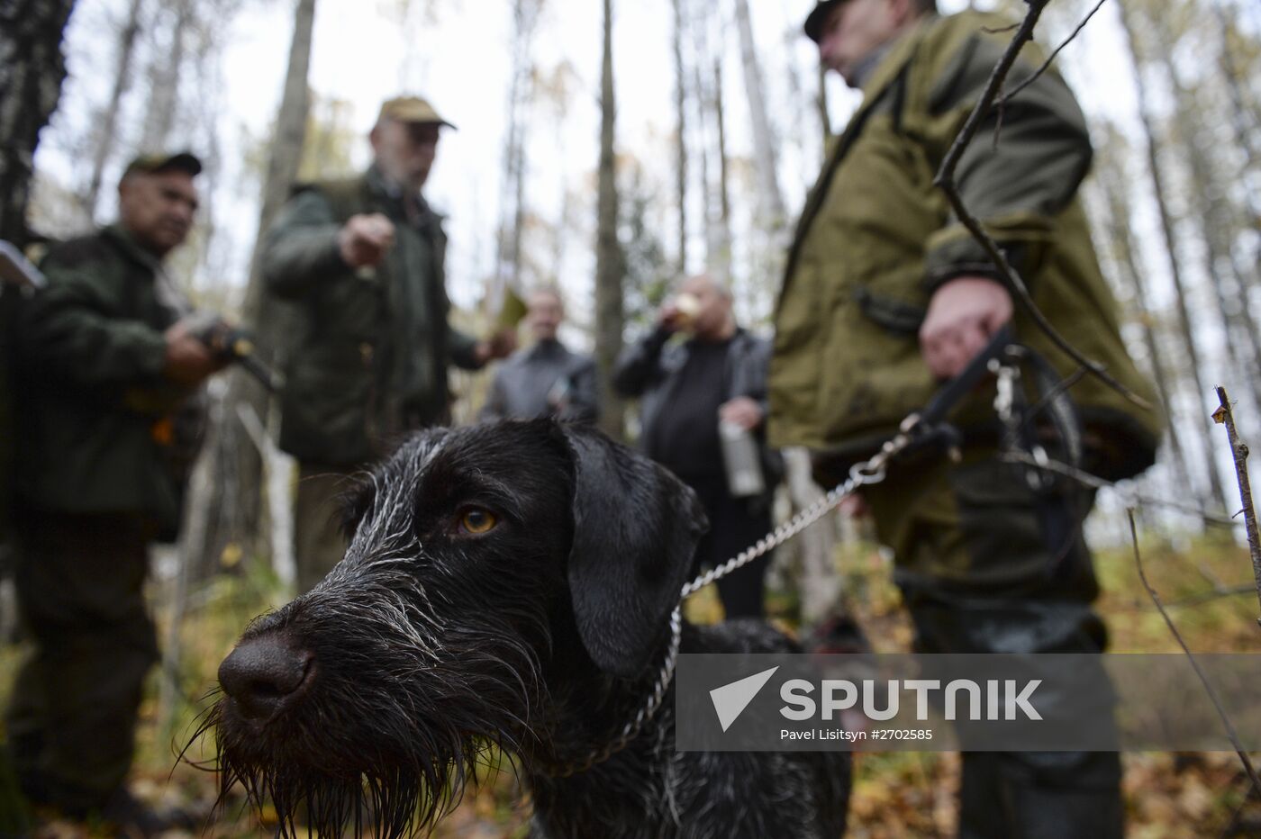 Intergrated gun dog competition im memoriam R.Kalashnikov