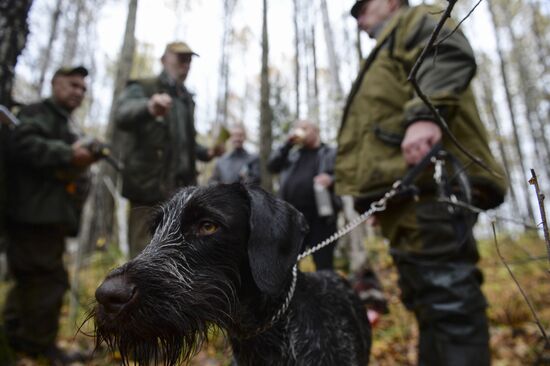 Intergrated gun dog competition im memoriam R.Kalashnikov
