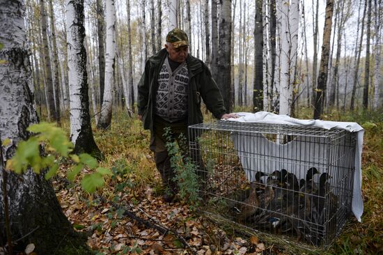 Intergrates gun dog competition im memoriam R.Kalashnikov
