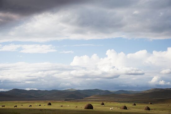 Fall in southeast Trans-Baikal Territory