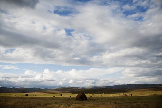 Fall in southeast Trans-Baikal Territory