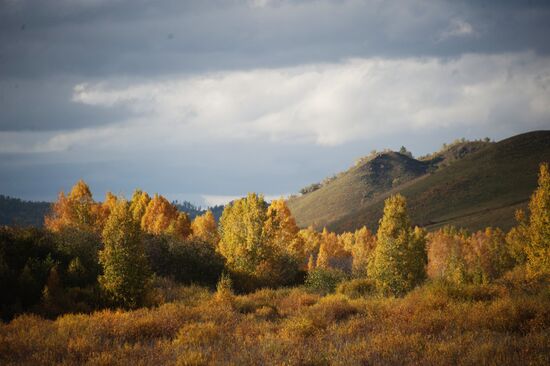 Fall in southeast Trans-Baikal Territory