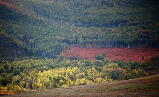 Fall in southeast Trans-Baikal Territory
