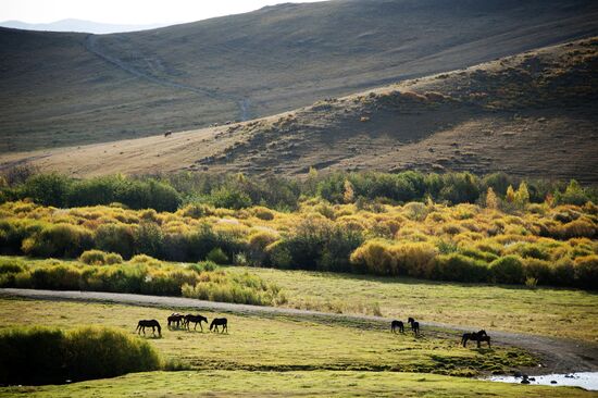 Fall in southeast Trans-Baikal Territory