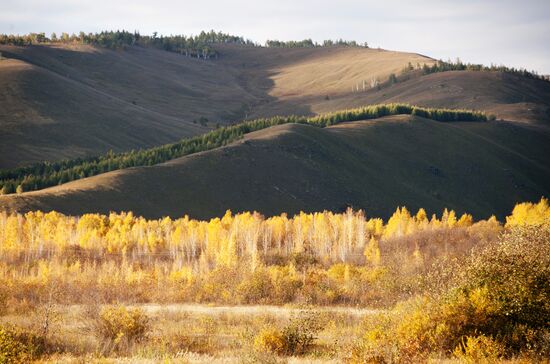 Fall in southeast Trans-Baikal Territory