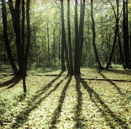 Autumn