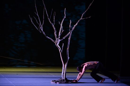 Now ballet at DanceInversion International Contemporary Dance Festival