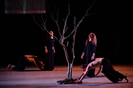 Now ballet at DanceInversion International Contemporary Dance Festival