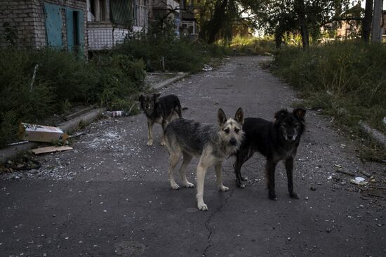 Vesyoloye village in Donetsk Region