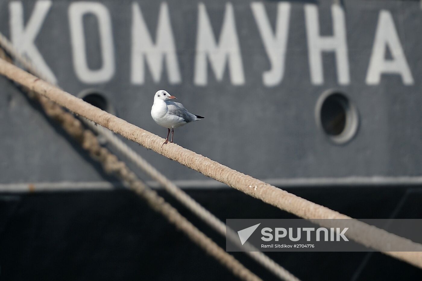 The Kommuna submarine salvage ship of the Russian Black Sea Fleet
