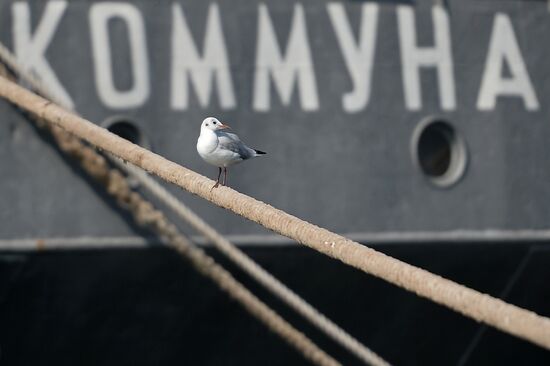 The Kommuna submarine salvage ship of the Russian Black Sea Fleet