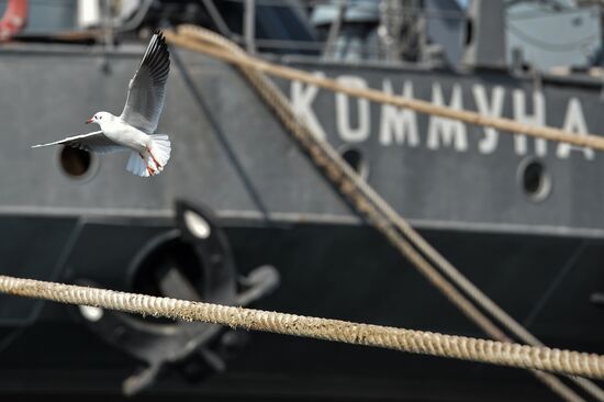 The Kommuna submarine salvage ship of the Russian Black Sea Fleet