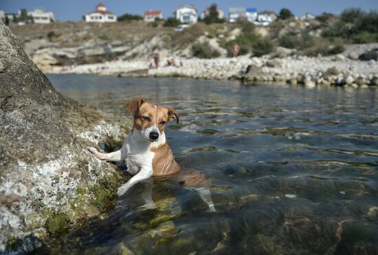 Russian cities. Sevastopol