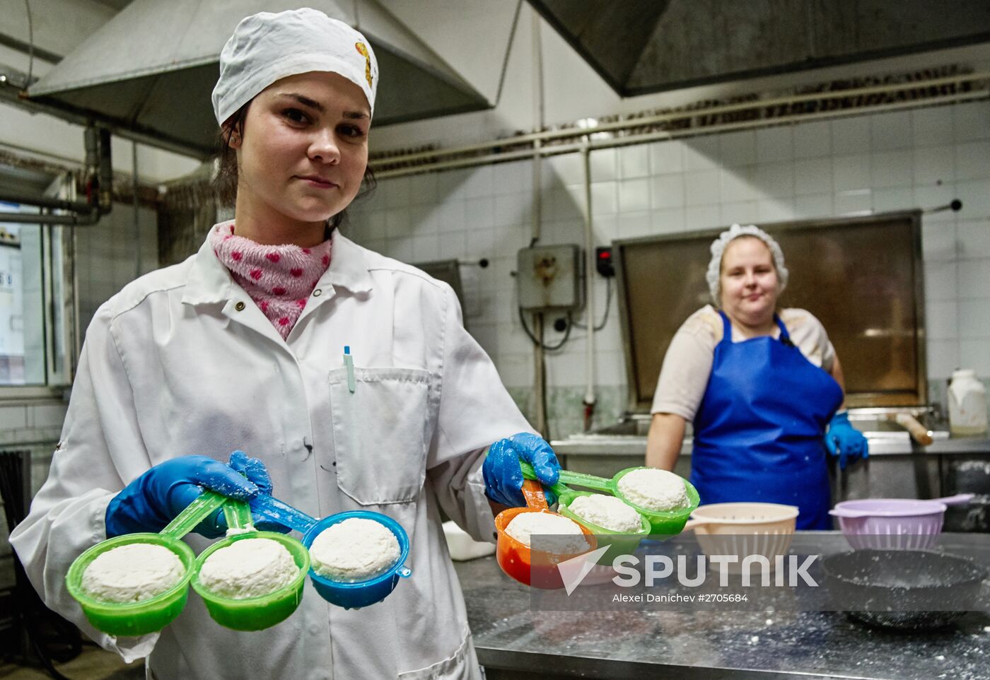 Goat cheese production at "Prinevskoe" breeding factory in the Leningrad region
