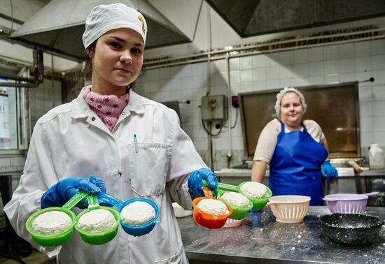 Goat cheese production at "Prinevskoe" breeding factory in the Leningrad region