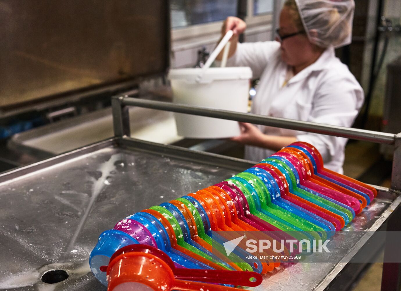 Goat cheese production at "Prinevskoe" breeding factory in the Leningrad region
