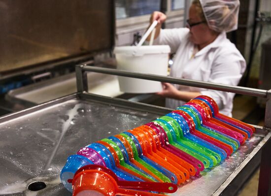 Goat cheese production at "Prinevskoe" breeding factory in the Leningrad region