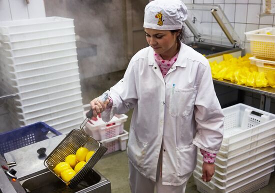 Goat cheese production at "Prinevskoe" breeding factory in the Leningrad region
