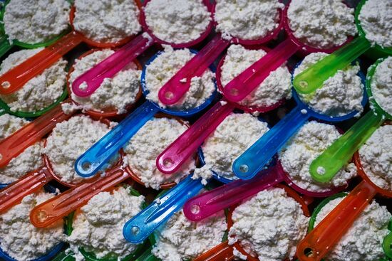 Goat cheese production at "Prinevskoe" breeding factory in the Leningrad region