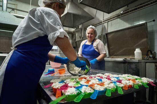 Goat cheese production at "Prinevskoe" breeding factory in the Leningrad region