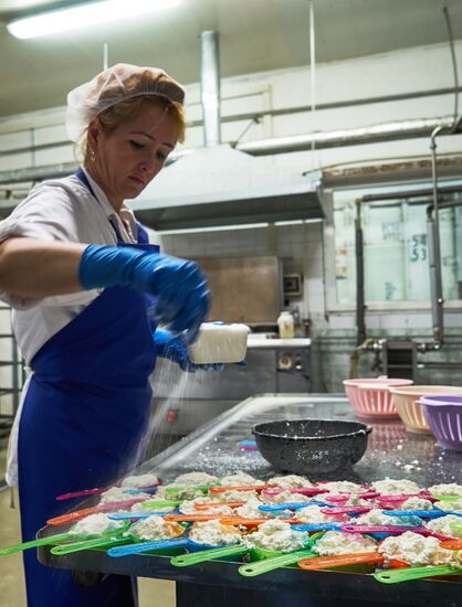 Goat cheese production at "Prinevskoe" breeding factory in the Leningrad region