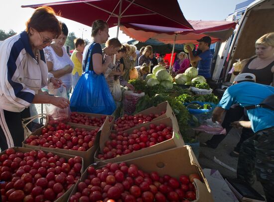 Fall agricultural fair in Simferopol