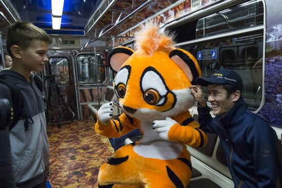 Presentation of Striped Express metro train