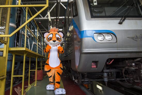 Presentation of Striped Express metro train