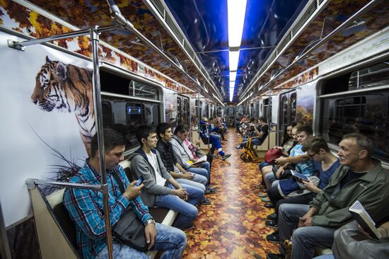 Presentation of Striped Express metro train