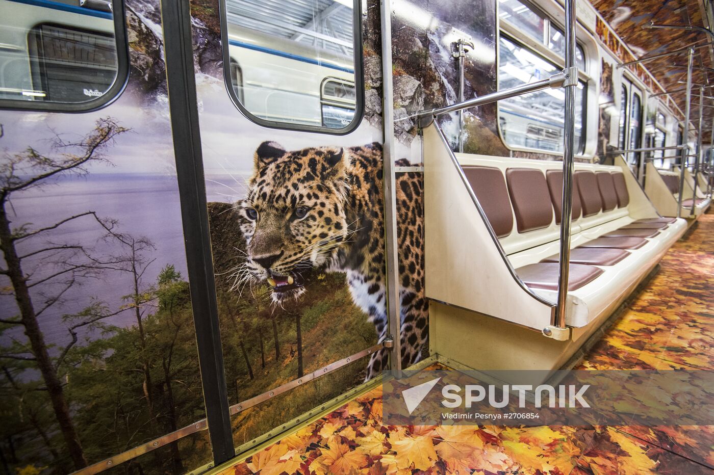 Presentation of Striped Express metro train