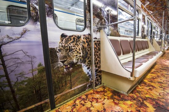 Presentation of Striped Express metro train