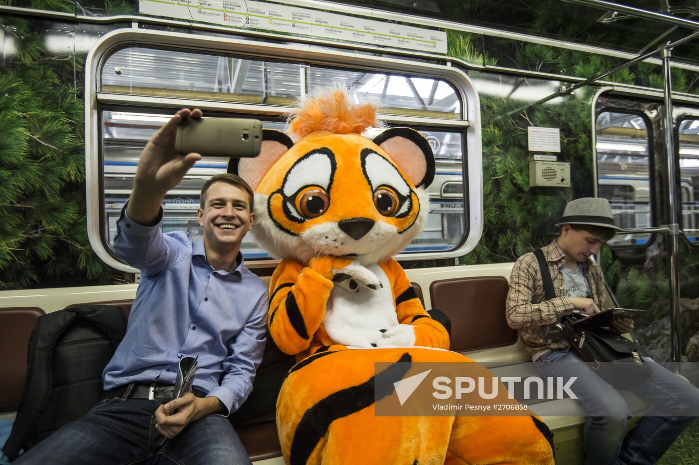 Presentation of Striped Express metro train