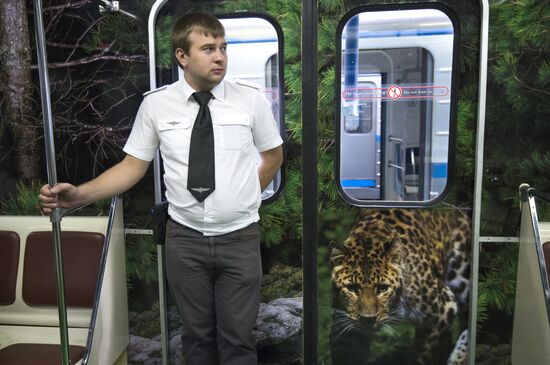 Presentation of Striped Express metro train