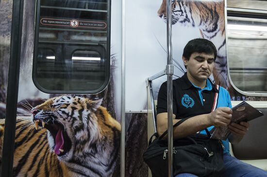 Presentation of Striped Express metro train