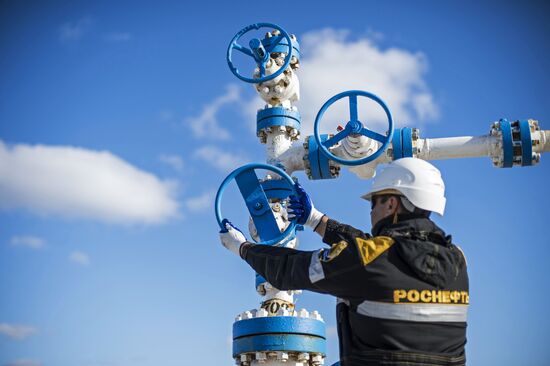 RN-Purneftegaz Company in Yamal-Nenets Autonomous District